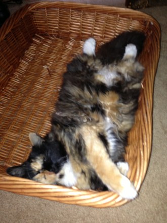 lanies-iphone-pictures-082